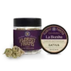 Florist Farms La Bomba Flower, 3.5G - 3.5G