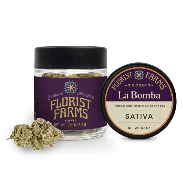 Florist Farms La Bomba Flower, 3.5G - 3.5G