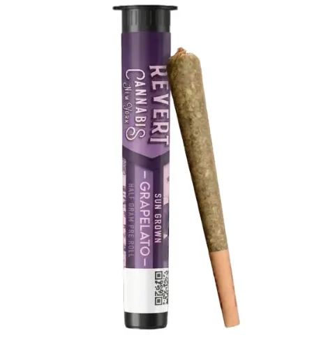 Revert Grapelato Pre-Roll, 0.5G - 0.5G