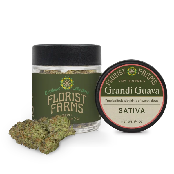 Florist Farms Grandi Guava Flower, 7G