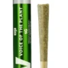 Voice of the Plant Runtz x Sunset Sherbert Pre-Roll, 1G - 1G
