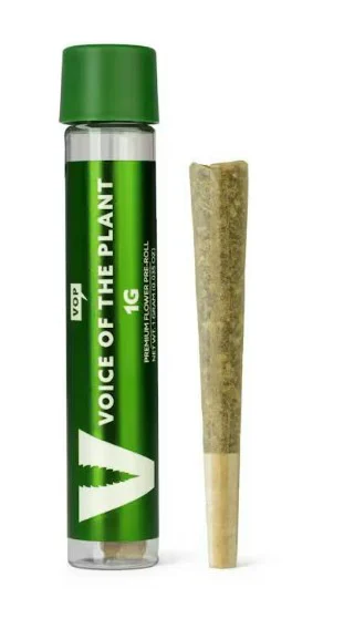 Voice of the Plant Runtz x Sunset Sherbert Pre-Roll, 1G - 1G