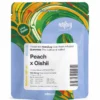 MFNY Peach x Oishii Live Resin Gummies, 100MG (10-Pack) - 100MG