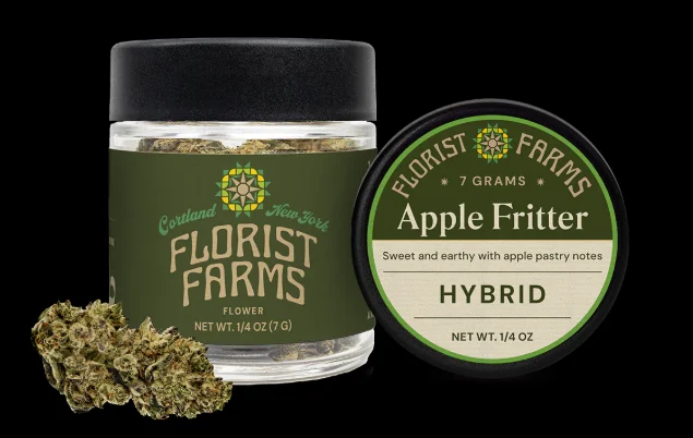 Florist Farms Apple Fritter Flower, 7G - 7G