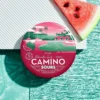 Camino Watermelon Spritz Sour Gummies, 100MG (10-Pack)