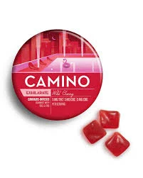 Camino Wild Cherry 1:1:1 Gummies, 100MG (20-Pack) - 100MG